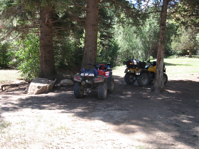 image0029 A little shade to park in