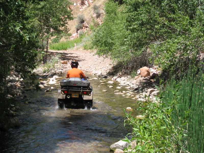 image0039 Ron crosses the stream