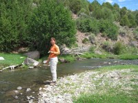 image0051 Quiet little mountain stream