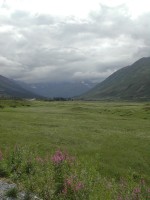 DSCN2219 Kenai Peninsula