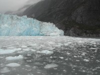 DSCN2266 Glacier Cruise