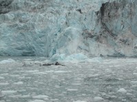 DSCN2284 Glacier Cruise