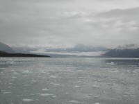 DSCN2288 Glacier Cruise