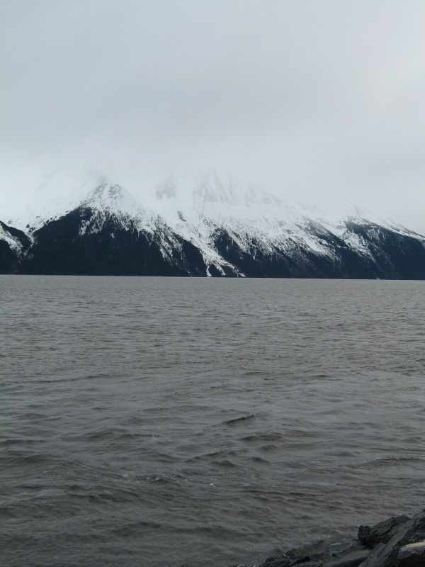 IMG_0031 Turnagain Inlet