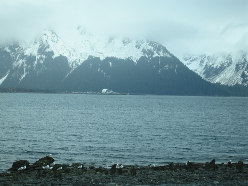 IMG_0072 Resurrection Bay in Seward