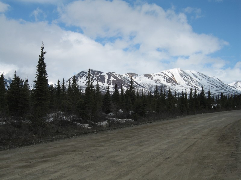 IMG_0087 Hiking near Denali