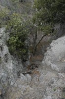 DSC_0113 Catwalk Whitewater Canyon