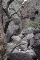 DSC_0129 Catwalk Whitewater Canyon