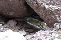 DSC_0132 Catwalk Whitewater Canyon